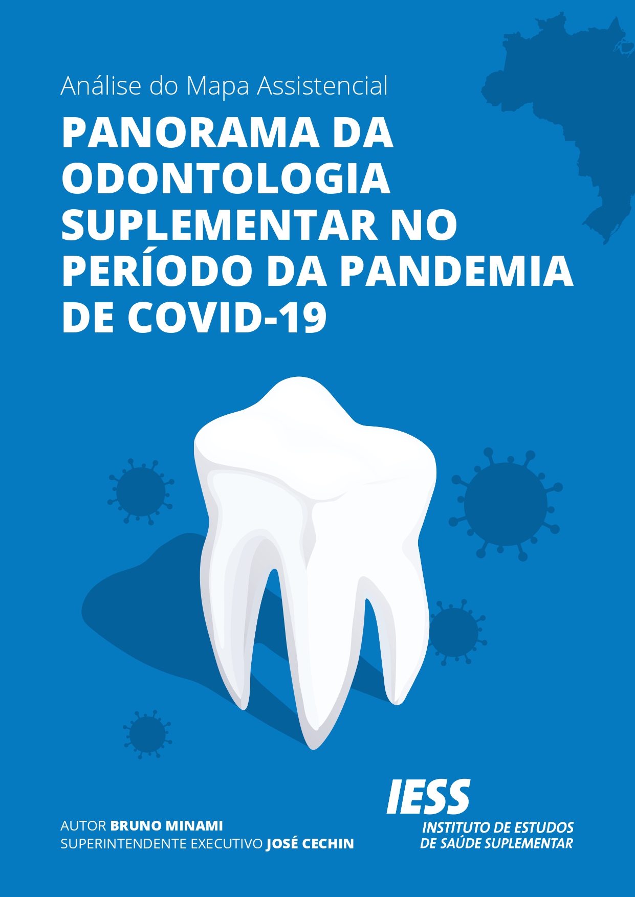 Análise do Mapa Assistencial: panorama da odontologia suplementar no período da pandemia de Covid-19