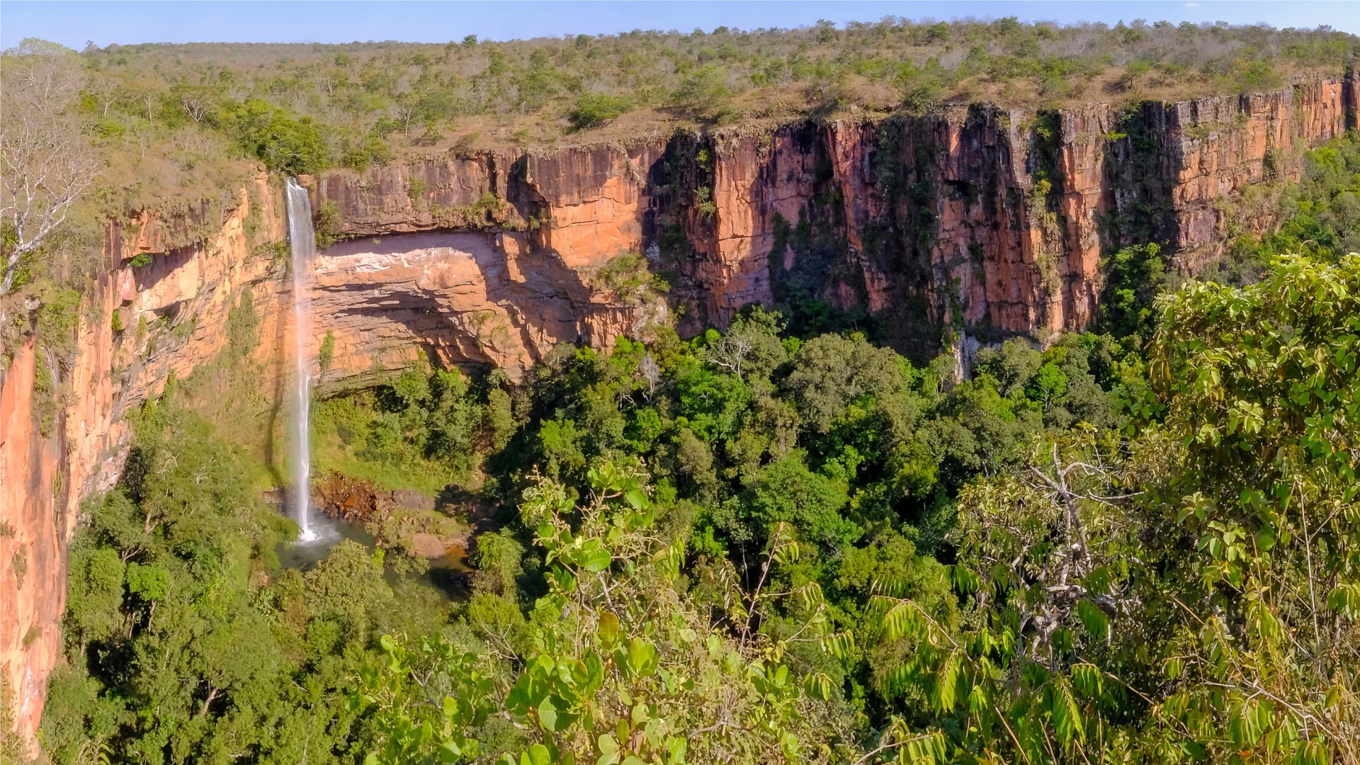 Mato Grosso: recorde de beneficiários com planos de saúde   
