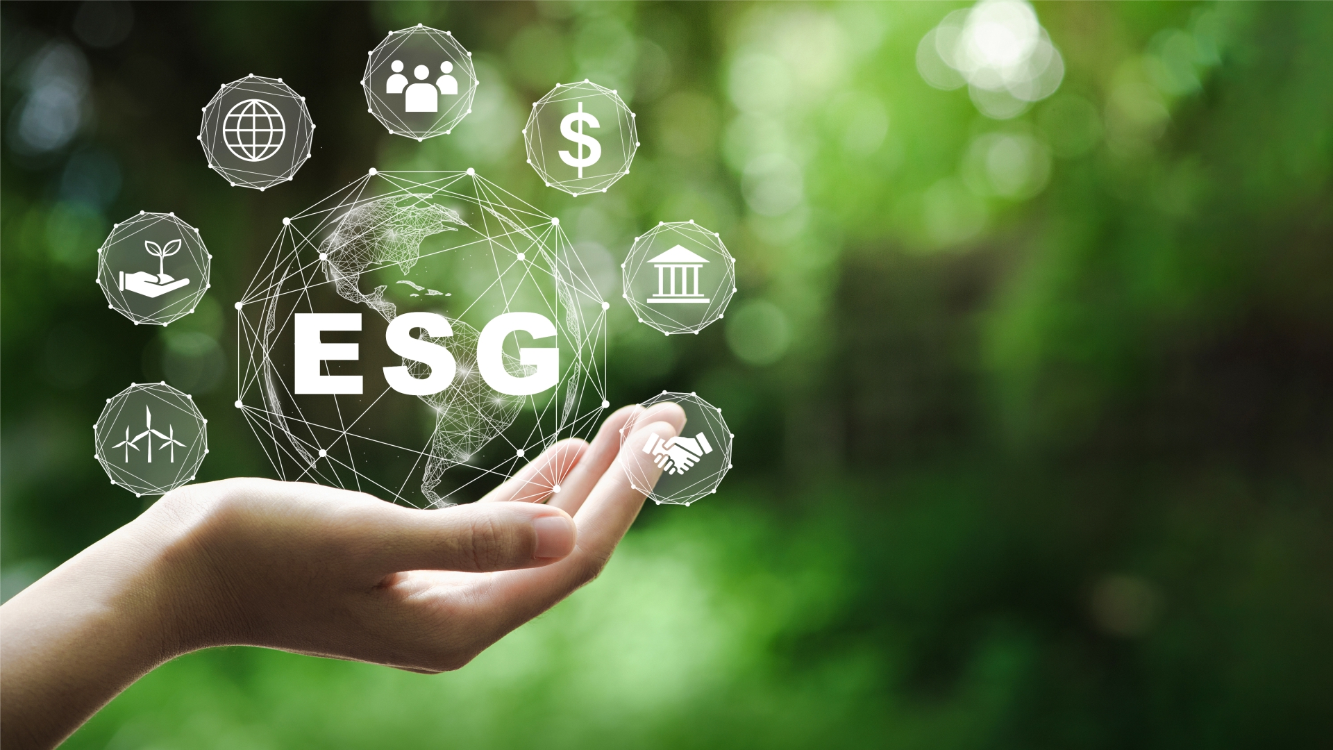 Novo artigo da RBSS aborda “Adoção de práticas ESG e desempenho econômico”