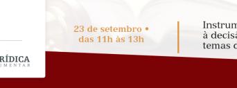 Instrumentos de apoio à decisão judicial em temas da saúde